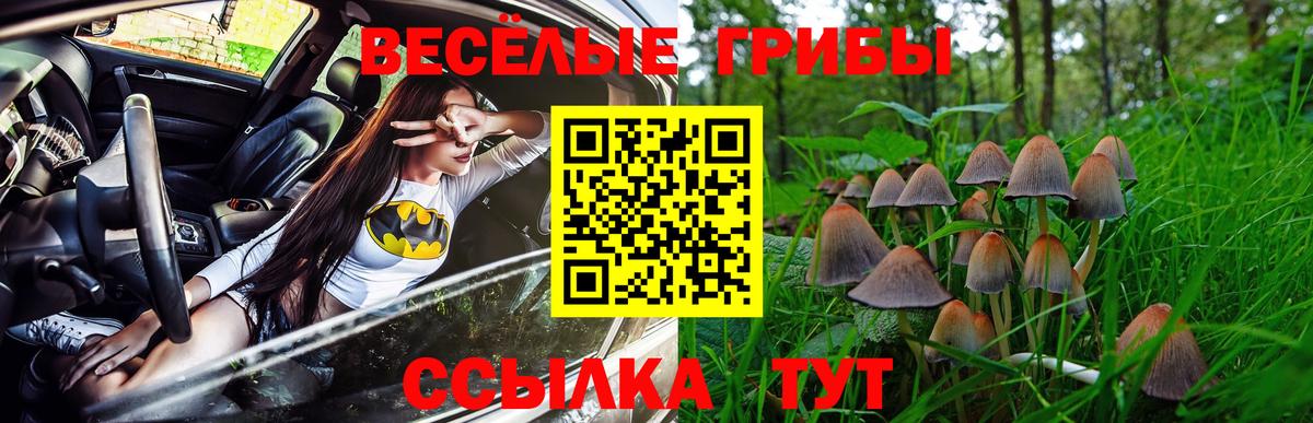 Камень-на-Оби  Псилоцибиновые грибы MAGIC MUSHROOMS  Вход с VPN 
